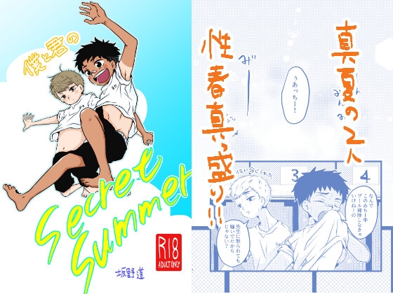 僕と君のSecretSummer