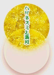 [RJ01425547] (きさゆき屋) 
ハリネズミと満月