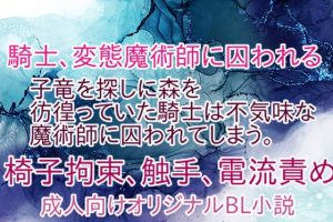 [RJ01428338] (彩愛) 
騎士、変態魔術師に囚われる
