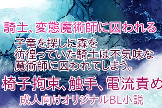 騎士、変態魔術師に囚われる