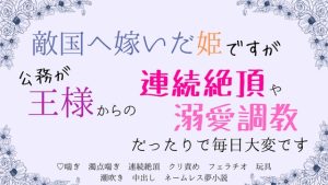 [RJ01432532] (さくらんぼ茶) 
敵国へ嫁いだ姫ですが、公務が王様からの連続絶頂や溺愛調教だったりで毎日大変です