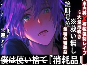 [RJ01437538] (sadistic|M) 
⚠︎超危険【車内姦✖︎複数強○レ○プ】【絶叫号泣※救い無し】僕は『消耗品』__使われて捨てられる※アナルおもちゃ開発無理矢理輪○※大量潮吹き悶絶絶頂【水音多め】