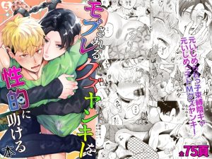 [RJ01191932] (みんなで翻訳) 
【韓国語版】モブレされるクズヤンキーを性的に助ける本