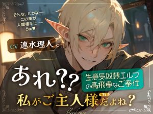 [RJ01436613] (blood rain) 
あれ?私がご主人様だよね?～生意気奴○エルフの高飛車なご奉仕～