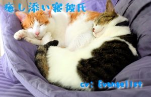 [RJ01437716] (みんなで翻訳) 
【繁体中文版】VR■添い寝癒し彼氏