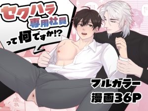 [RJ01445865] (Wao) 
セクハラ専用社員って何ですか!?