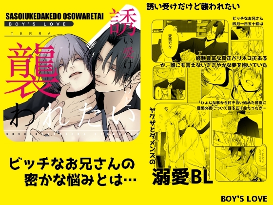 誘い受だけど襲われたい