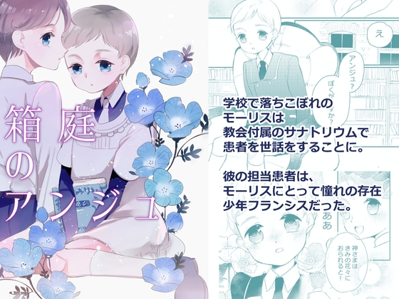 箱庭のアンジュ