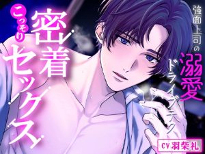 [RJ01153277] (みんなで翻訳) 
【繁体中文版】強面上司の溺愛ドライブテク～密着せっくす～