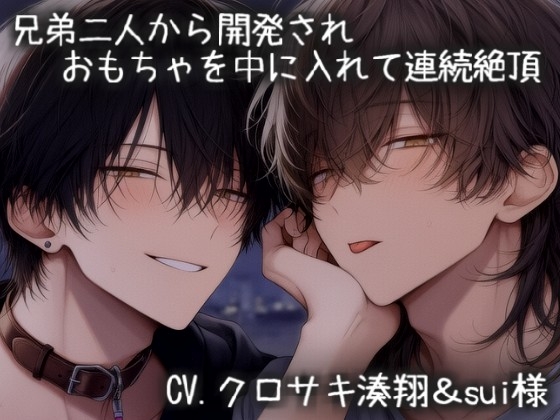 兄弟二人から開発され、おもちゃを中に入れて連続絶頂