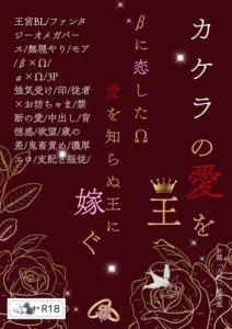 [RJ01469246] (枝浬菰) 
カケラの愛を、王へ-βに恋したΩ愛を知らぬ王に嫁ぐ-