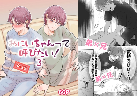 おにいちゃんって呼びたい！3