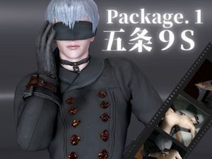 [RJ01475092] (パラレル) 
退廃した世界で9Sといちゃラブする甘い世界【4動画】