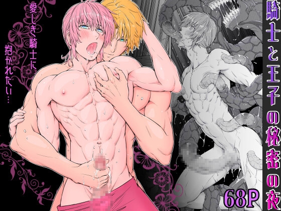 【韓国語版】騎士と王子の秘密の夜