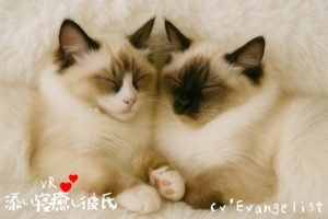 [RJ01495412] (Evangelist ASMR) 
【韓国語版】VR■添い寝癒し彼氏