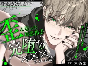 [RJ01478165] (たるとたたん) 
【韓国語版】珀くんとかくれんぼ。【歪みきった初恋相手に監禁完堕ち×××される話】そして誰にも見つからない。