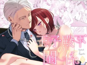 [RJ01485225] (Dizzy) 
【簡体中文版】王子殿下の閨係3