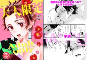 [RJ01485195] (ナナイロ) 
Adult only-大人限定1