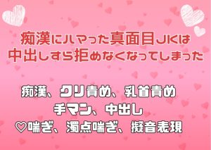 [RJ01486493] (アサ) 
痴○にハマった真面目JKは中出しすら拒めなくなってしまった