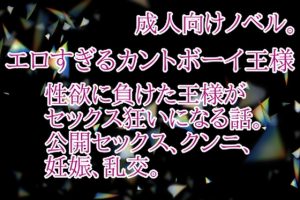 [RJ01487542] (彩愛) 
エロすぎるカントボーイ王様