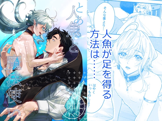 とある人魚と魔法使い