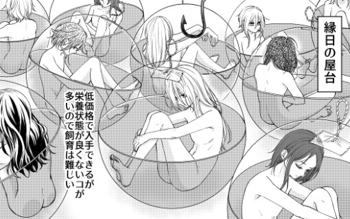 ニンゲン飼育日記