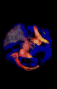 [RJ01490905] (DarkPython<BL>) 
イベせかN→Y