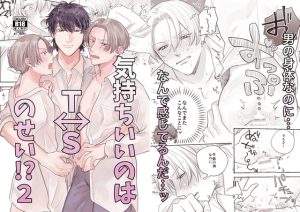 [RJ01493416] (無敵) 
気持ちいいのはTSのせい！?2