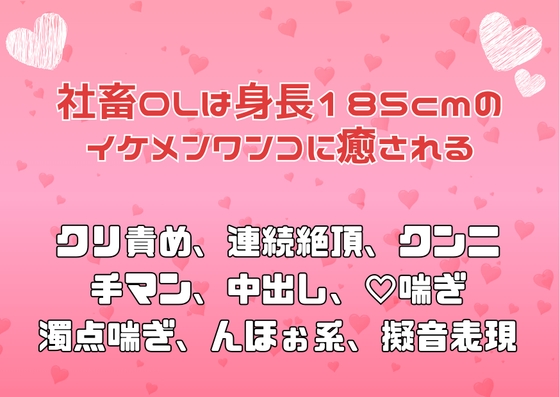 社畜OLは身長185cmのイケメンワンコに癒される