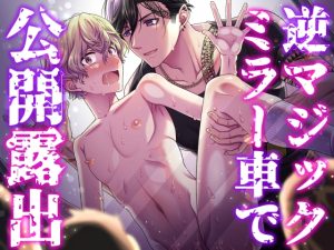 [RJ01499106] (ROCHE) 
逆マジックミラー車で公開露出