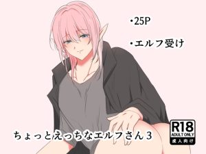 [RJ01501338] (マカロニ貴族) 
ちょっとえっちなエルフさん3