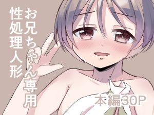 [RJ01503159] (とほほの倉庫(仮)) 
お兄ちゃん専用性処理人形～初めてのセックス編～