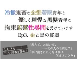 [RJ01513364] (美波) 
冷徹鬼畜な金髪碧眼青年と優しく精悍な黒髪青年に拘束監禁性尋問を受けています Ep.3 金と黒の終劇