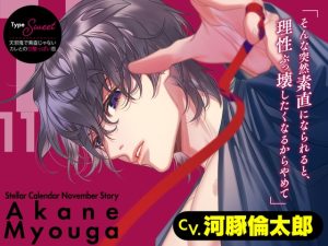[RJ01506211] (ラミナプラネット) 
【繁体中文版】【CV.河豚倫太郎】Stellar Calendar(ステカレ)～November Story～