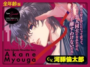 [RJ01506217] (ラミナプラネット) 
【繁体中文版】【全年齢版】Stellar Calendar(ステカレ)～November Story～【CV.河豚倫太郎】