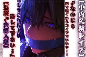 [RJ01496781] (sadistic|M) 
【繁体中文版】【車内監禁レ○プ】【男性受け】『もうこれ以上は許して下さい…んっ♡』♂なのに♀声で喘ぐからコイツでいいや……【監禁♂穴挿入編】春待雹リアルすぎて辛いバイノーラル