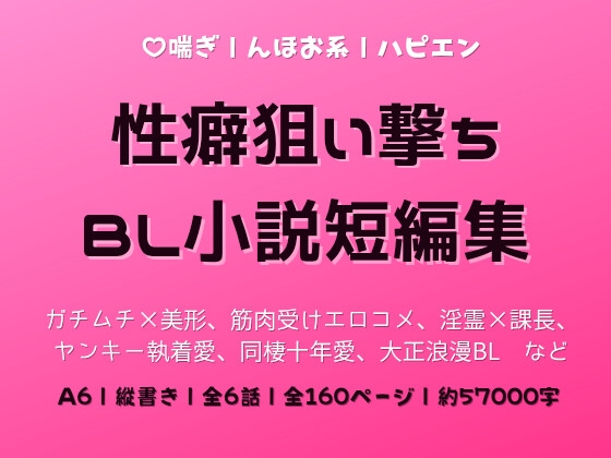 美人と野獣  BL小説短編集