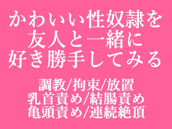 友人が性奴○を買ったらしいので好き勝手してみた